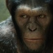 rise of the planet of the apes rise of the planet of the apes